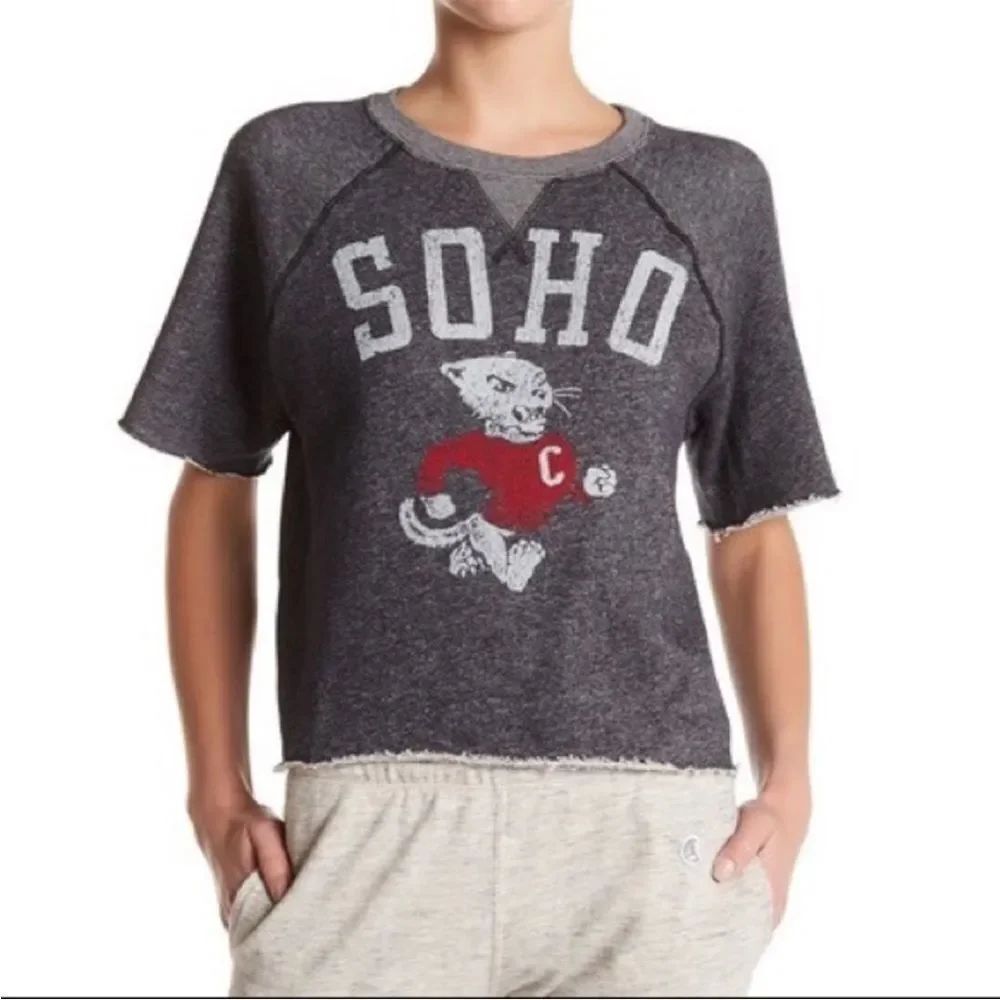 Champion x Todd Snyder Soho Gray Charcoal Athletic Distressed Graphic Crop Top